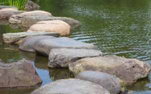 Intuition und Weisheit im Zen Leadership  