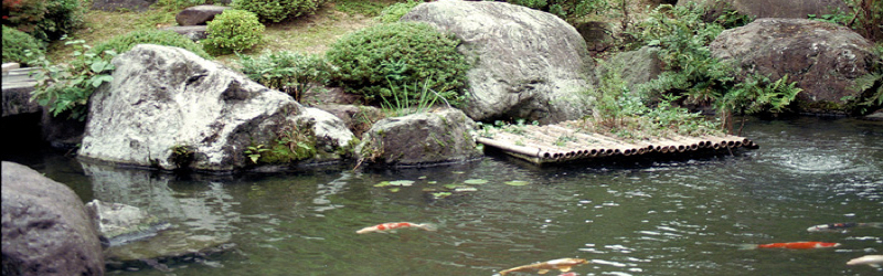 Bringt Zen auch meine Kids in ihre Mitte?  
