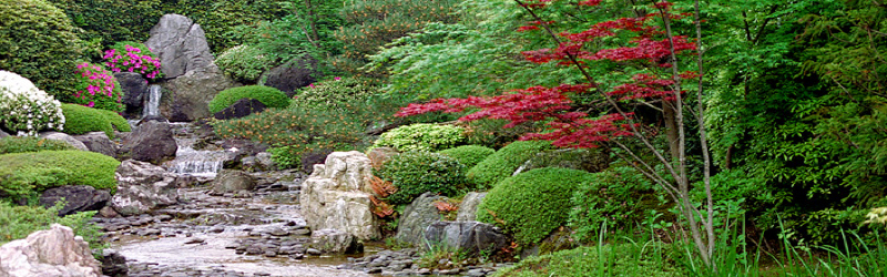 Zen-Meditation - mein neues time-system !  