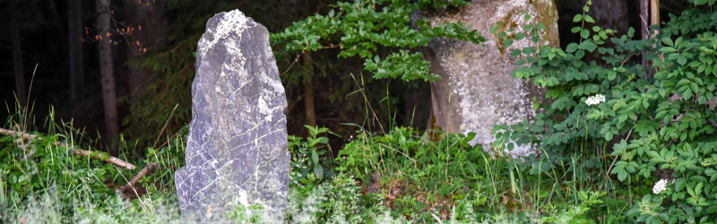 Zen-Meditation und Zen-Übung in optimaler Balance  