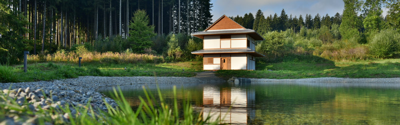 Ist Zen ein Weg, weniger Konflikte mit Menschen zu haben?  