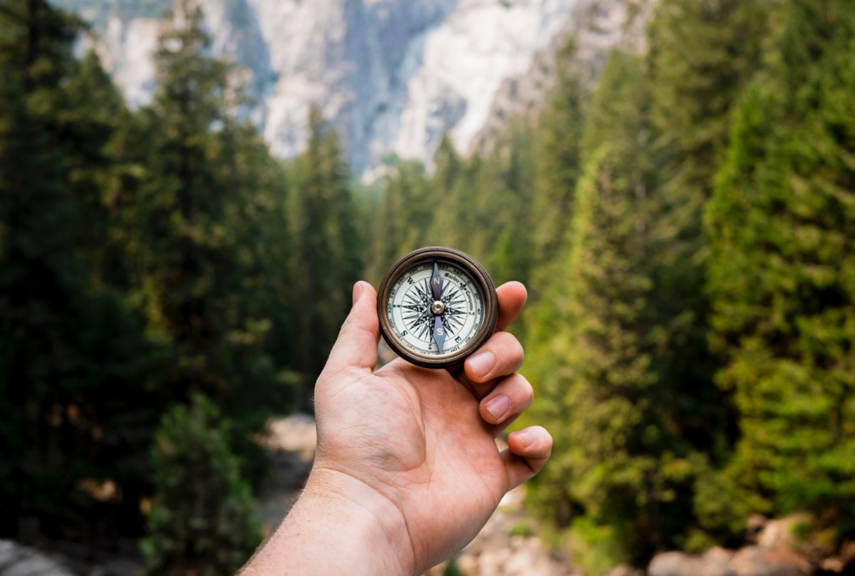 IKIGAI – der japanische Weg zum Sinn des Lebens  
